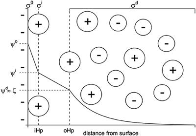 On the Role of Hydrolyzable Metal Cations in the Adsorption of Anionic Surfactants on Negatively Charged Surfaces